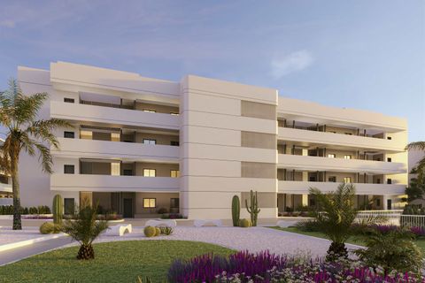 Lägenhet i Torrevieja, Alicante - foto 3
